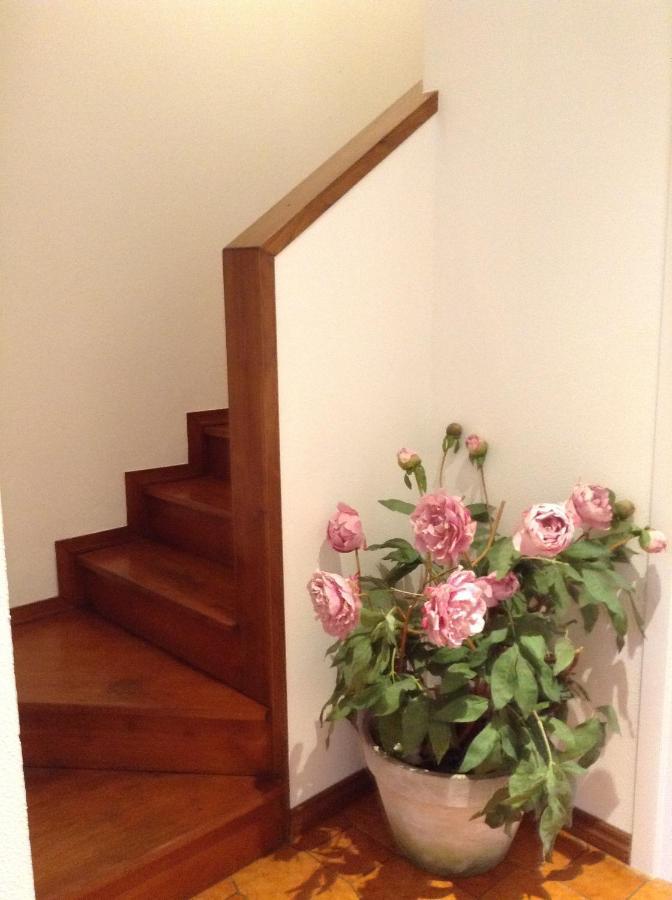 Casa Di Lucia B&B ลาดิสโปลี ภายนอก รูปภาพ