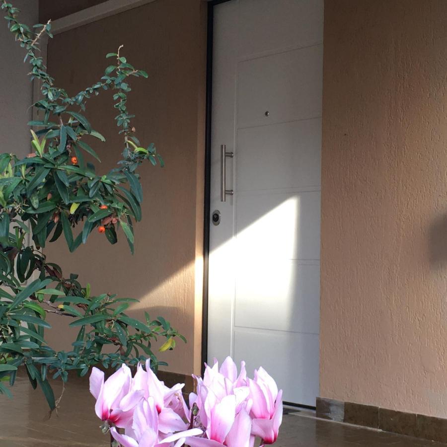 Casa Di Lucia B&B ลาดิสโปลี ภายนอก รูปภาพ
